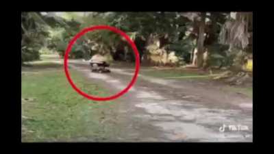 The Fifth The Hexalogy