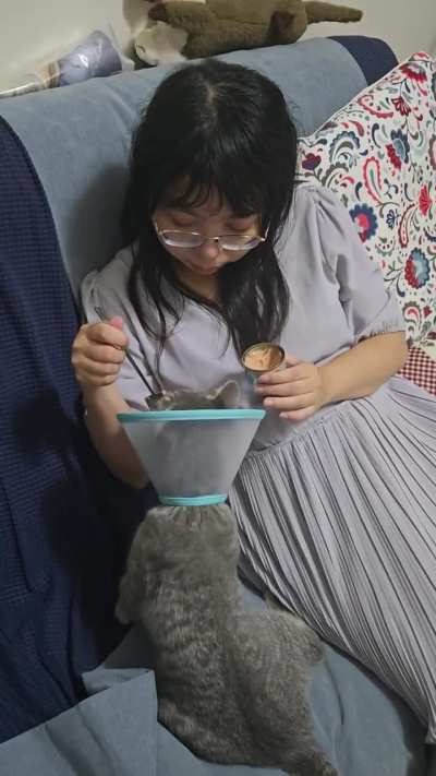 My gf feeding out cat just after he got neutered