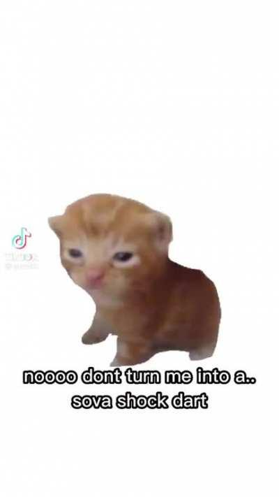 My fyp strikes again p2....