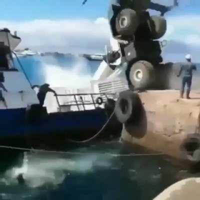 I'm pretty sure cats don't like to fall into the water