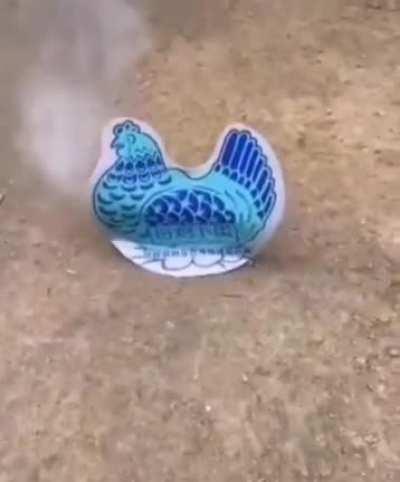 Well that was uneggspected.