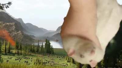 Soo im making another thing