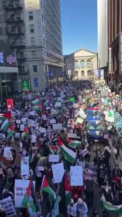 Chicago Marches for Palestinian Rights, on the Right side of History!
