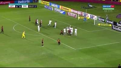 frangasso do paulo vitor