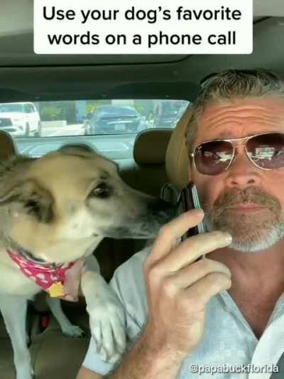 Hey, take me too, take me too!