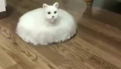 En camino a quemar linares