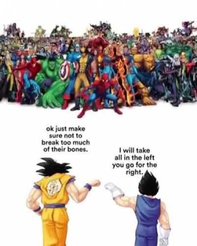 Meme I shameless stole from discord.