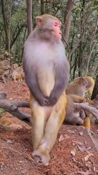 Waiting for Monday like...