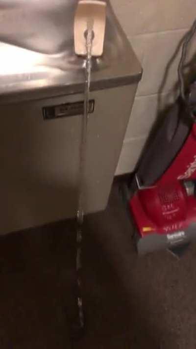 Someone’s Out to Get Me