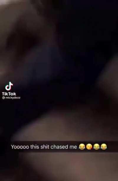 Never going to New York again