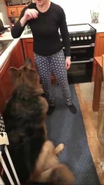 It was going so well