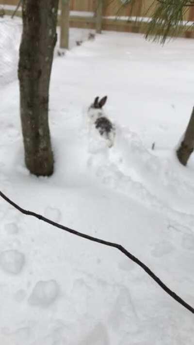 Hop hop, plow plow, hop hop