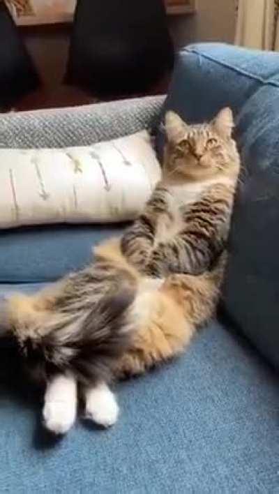 Джентльмен