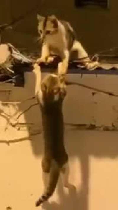 История повторяется.