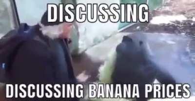Banana Prices go brrrrrr