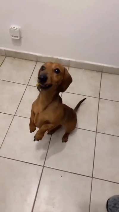 Ele realmente não gostou disso 😅😅