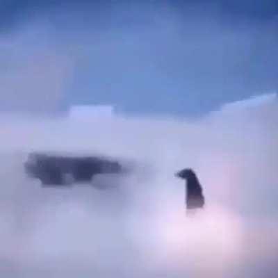 pov: Russian penguins