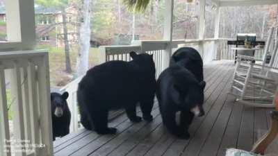 Family drops by to check out the grill