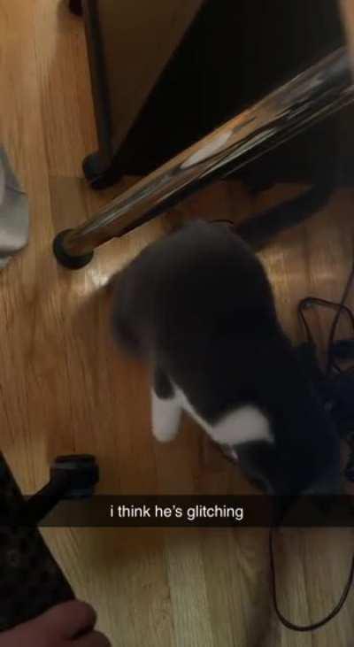 My lil guy has some issues with depth perception