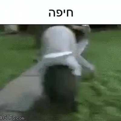 חיפה