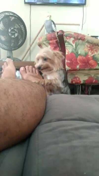 If this doesn’t melt your soul, you probably don’t have one.