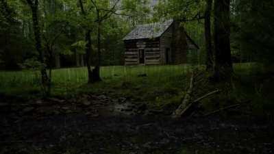 A Cabin In The Forest 🌲