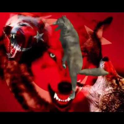 Arkadaşlarla yemek yerken 500 tl hesap gelince ben