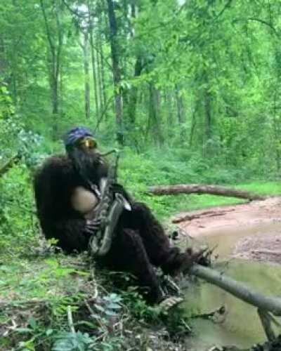 Pé grande de boa na floresta pq ninguém tá caçando ele por causa da quarentena