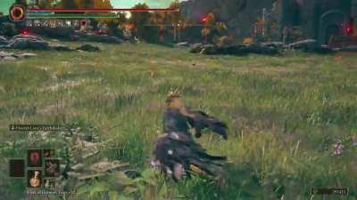 I present to you...El Pollo Loco