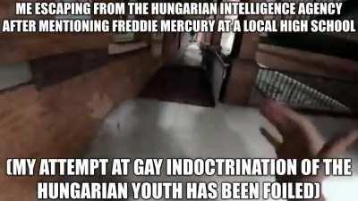 I am now a wanted criminal in Hungary and the police will stop at nothing to ensure my capture and imprisonment 😎