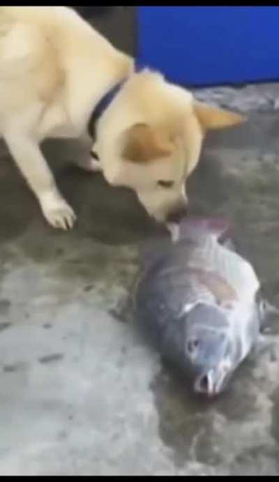 top 10 momentos mas tristes de todo el anime (┬┬﹏┬┬)