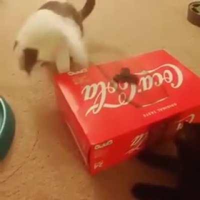 I Am Over Fidget Spinners