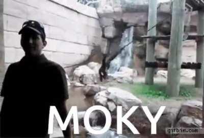 Lib center is starting a revolution