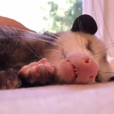 'Cause I'm sleep(walking)