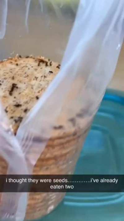 Woman eats ant infested cookies mistaking them for sesame seeds
