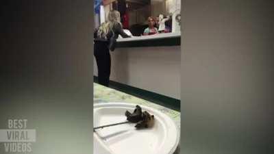 They put green peppers instead of red peppers on her kebab