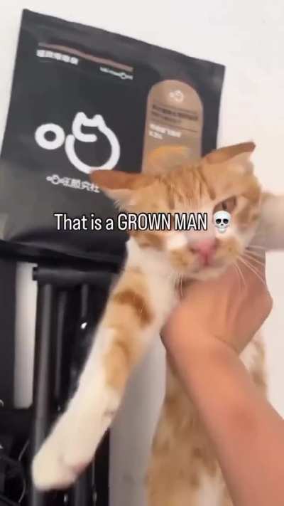 Not all orange but always the orange