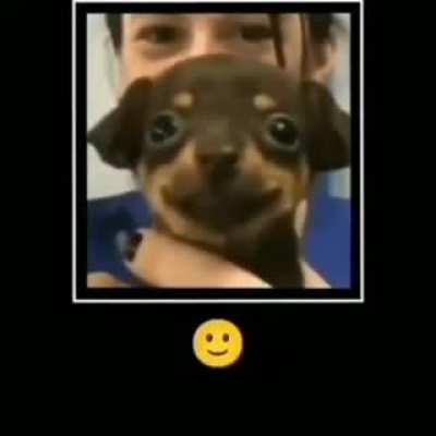 🙂 (puedes verlo, no es nada malo)