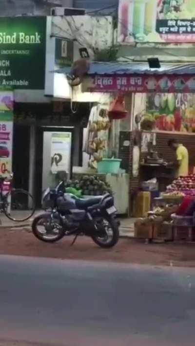 I'll get the bananas. You get the beer. 