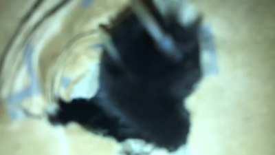 The attack of the void