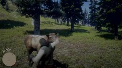 John VS Nature - RDR2