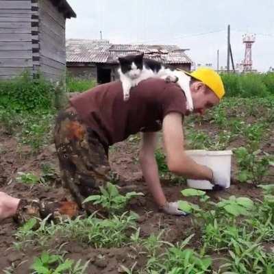 Mr.Gardening Supervisor