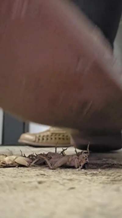 Sharing my top 10 this gorgeous Friday. #1 😘