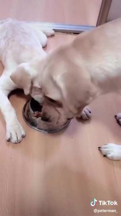 Such a great mom 🤍