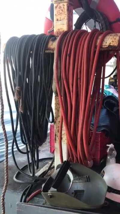 Dance Pixies, Dance!