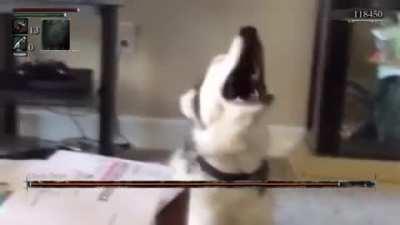 Beware the frailty of men. Their wills are weak, minds young.