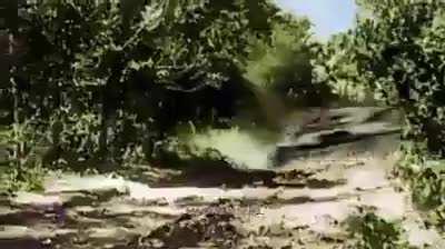 Resumo da operação barborisia