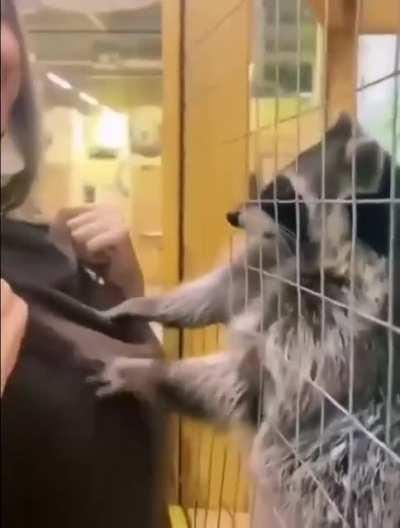 Kemal yine iş başında