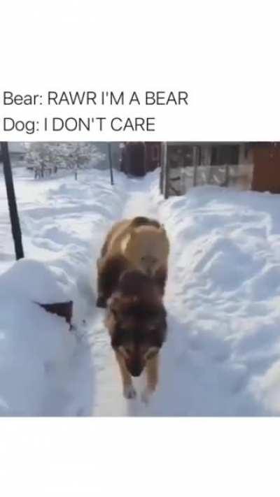 To intimidate a dog