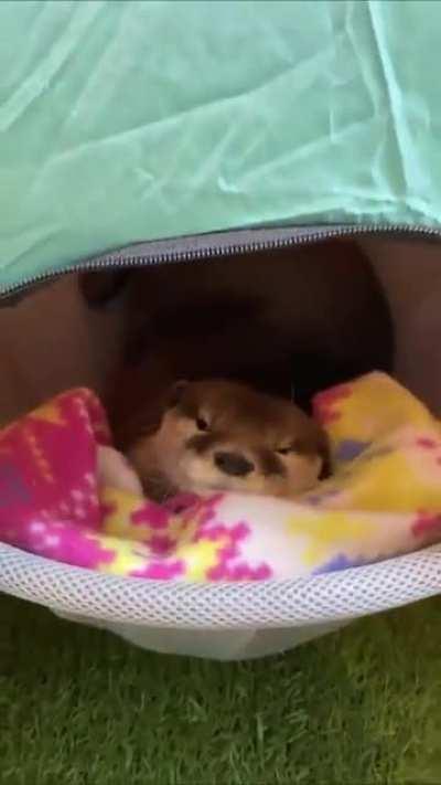 eu quero um desse pra ontem >:(